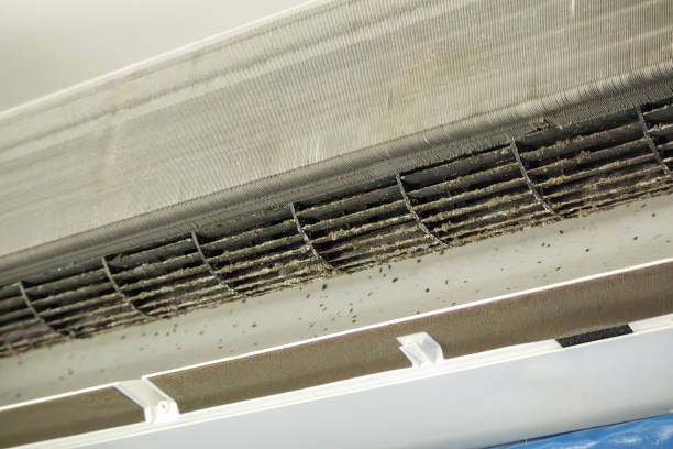 Best HVAC Air Duct Cleaning  in Bangor Base, WA